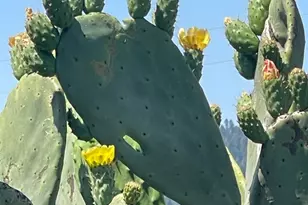 3500 Silverado Trail, Saint Helena, CA 94574 - Photo 35