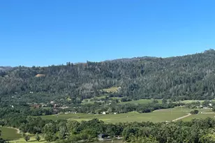 3500 Silverado Trail, Saint Helena, CA 94574 - Photo 13