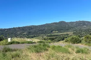 3500 Silverado Trail, Saint Helena, CA 94574 - Photo 15