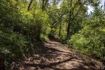 141 Granlee Road, San Rafael, CA 94903 - Photo 5