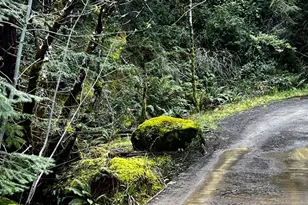 3761 E Blue Rock Rd, Garberville, CA 95542 - Photo 21