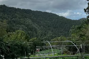 3761 E Blue Rock Rd, Garberville, CA 95542 - Photo 23