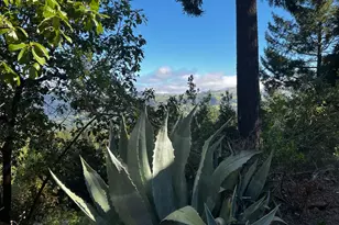 3761 E Blue Rock Rd, Garberville, CA 95542 - Photo 37