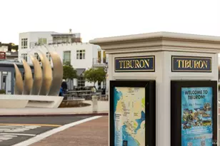 403 Paradise Dr, Tiburon, CA 94920 - Photo 49