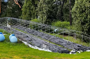 2520 French Rd, Miranda, CA 95553 - Photo 15