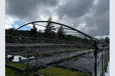 2520 French Road, Miranda, CA 95553 - Photo 9