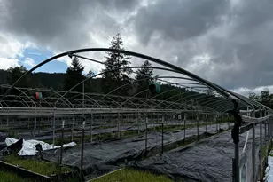 2520 French Rd, Miranda, CA 95553 - Photo 9