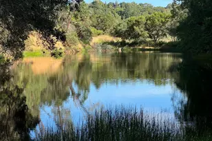 950 Canyon Rd, Geyserville, CA 95441 - Photo 3