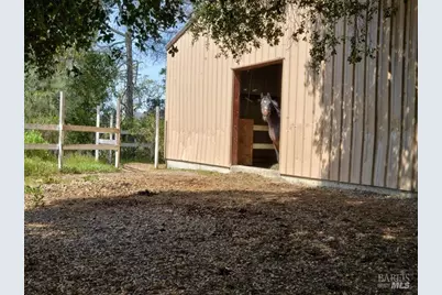 950 Canyon Road, Geyserville, CA 95441 - Photo 11