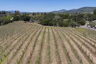 2134 Monticello Rd, Napa, CA 94558 - Photo 31