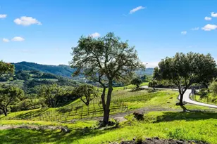 3900 Franz Valley Rd, Santa Rosa, CA 95404 - Photo 67