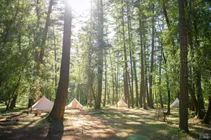 18501 Van Zandt Resort Rd, Philo, CA 95466 - Photo 85