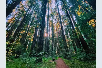 18501 Van Zandt Resort Road, Philo, CA 95466 - Photo 97