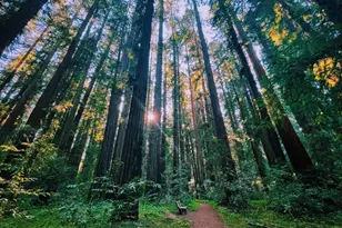 18501 Van Zandt Resort Rd, Philo, CA 95466 - Photo 97