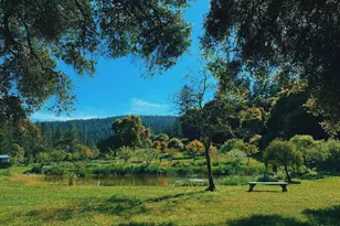 18501 Van Zandt Resort Rd, Philo, CA 95466 - Photo 93