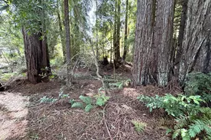 43300 Little River-Airport Rd, Littleriver, CA 95456 - Photo 21