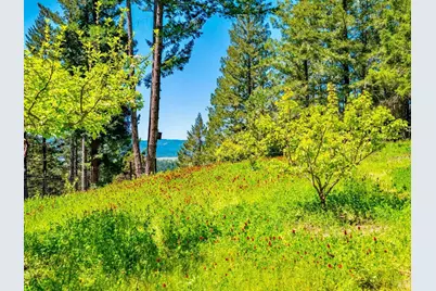 10951 Big Meadow Road, Philo, CA 95466 - Photo 41