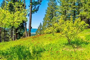 10951 Big Meadow Rd, Philo, CA 95466 - Photo 41