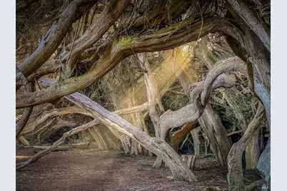 42460 Leeward Road, The Sea Ranch, CA 95497 - Photo 13