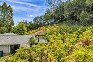 1389 Canyon Rd, Geyserville, CA 95441 - Photo 51