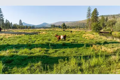 41406 Lonquist Lane, Hat Creek, CA 96040 - Photo 33