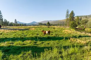 41406 Lonquist Ln, Hat Creek, CA 96040 - Photo 33