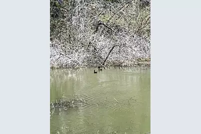 9650 Rocky Creek Road, Lower Lake, CA 95457 - Photo 1