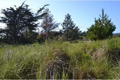 135 Shepherds Close, The Sea Ranch, CA 95497 - Photo 5