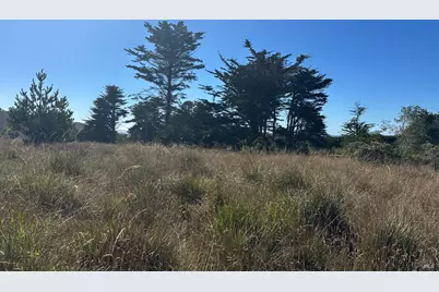 135 Shepherds Close, The Sea Ranch, CA 95497 - Photo 25