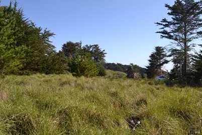 135 Shepherds Close, The Sea Ranch, CA 95497 - Photo 7