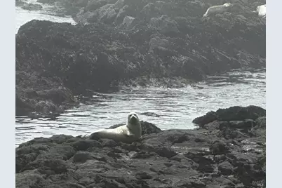 135 Shepherds Close, The Sea Ranch, CA 95497 - Photo 17