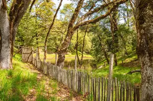 16121 Deer Meadows Rd, Boonville, CA 95415 - Photo 65