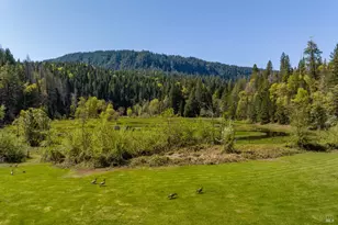 31419 Hagen Flat Rd, Big Bend, CA 96011 - Photo 17