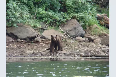 31419 Hagen Flat Road, Big Bend, CA 96011 - Photo 5