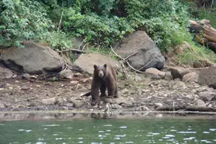 31419 Hagen Flat Rd, Big Bend, CA 96011 - Photo 5