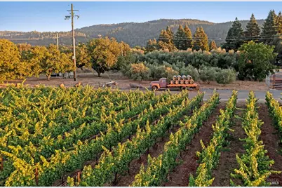 125 Cristo Lane, Santa Rosa, CA 95409 - Photo 77