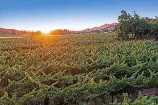 125 Cristo Ln, Santa Rosa, CA 95409 - Photo 79