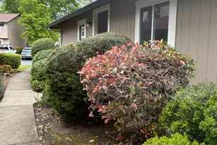 311 Algiers Ct, Santa Rosa, CA 95409 - Photo 3