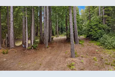 22039 Timber Cove Road, Jenner, CA 95450 - Photo 1
