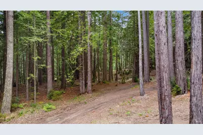 22039 Timber Cove Road, Jenner, CA 95450 - Photo 9