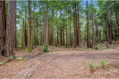 22039 Timber Cove Road, Jenner, CA 95450 - Photo 19
