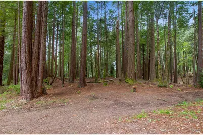 22039 Timber Cove Road, Jenner, CA 95450 - Photo 21