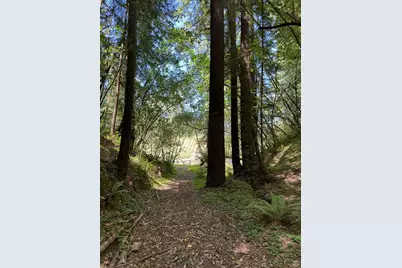 8781 Martinelli Road, Forestville, CA 95436 - Photo 47