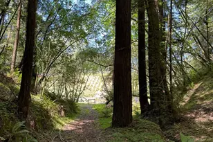 8781 Martinelli Rd, Forestville, CA 95436 - Photo 47