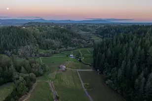 8781 Martinelli Rd, Forestville, CA 95436 - Photo 57