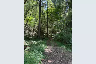 8781 Martinelli Road, Forestville, CA 95436 - Photo 45