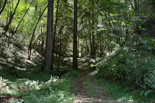 8781 Martinelli Rd, Forestville, CA 95436 - Photo 45