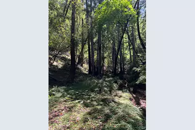 8781 Martinelli Road, Forestville, CA 95436 - Photo 57