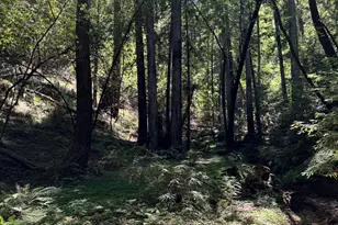 8781 Martinelli Rd, Forestville, CA 95436 - Photo 57