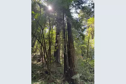 8781 Martinelli Road, Forestville, CA 95436 - Photo 49